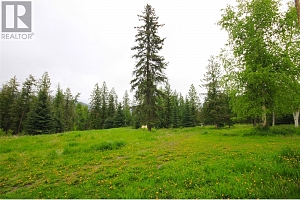 3194 Creighton Valley Road - Photo 23