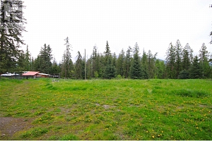 3194 Creighton Valley Road - Photo 24