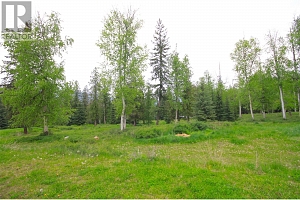 3194 Creighton Valley Road - Photo 26