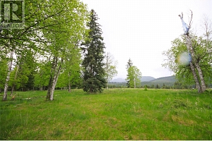 3194 Creighton Valley Road - Photo 30