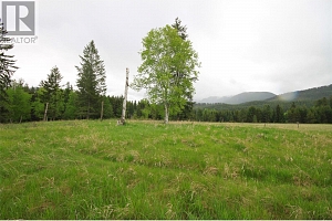 3194 Creighton Valley Road - Photo 33