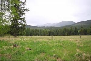 3194 Creighton Valley Road - Photo 36