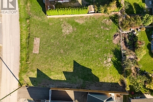 37 Morden Road - Photo 6