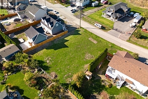 37 Morden Road - Photo 7