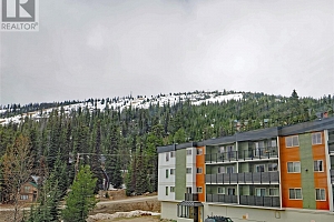 5375 Big White Road Unit# 322 - Photo 7