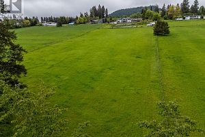 5585 Reid Road - Photo 99