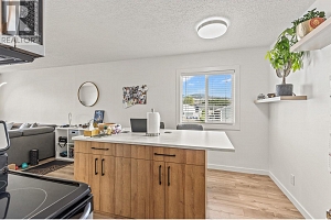 395 Franklyn Road Unit# 304 - Photo 5