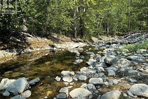 7379 Fintry Delta Road Lot# 86 - Photo 25