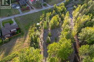 7379 Fintry Delta Road Lot# 86 - Photo 6