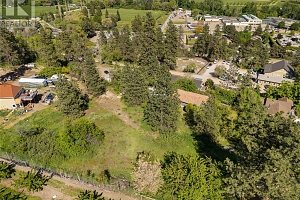 10286 Newene Road - Photo 13