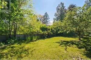 10286 Newene Road - Photo 4