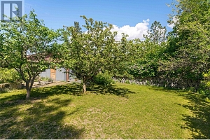 10286 Newene Road - Photo 5