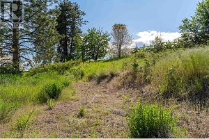 10286 Newene Road - Photo 6