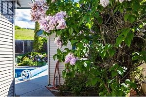 2205 Canary Place - Photo 24