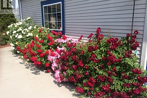 2205 Canary Place - Photo 9