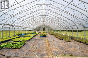 4858 Salmon River Road - Photo 87