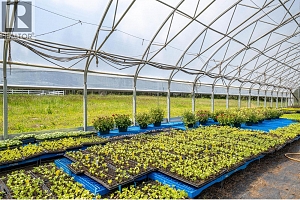 4858 Salmon River Road - Photo 88