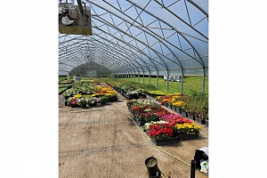 4858 Salmon River Road - Photo 90