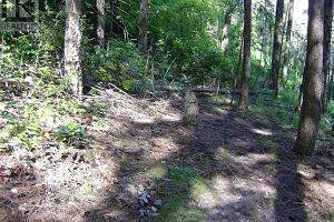 9475 Kilkenny Place Lot# 180 - Photo 10