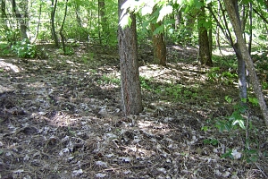 9475 Kilkenny Place Lot# 180 - Photo 11