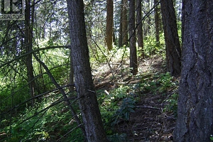 9475 Kilkenny Place Lot# 180 - Photo 13