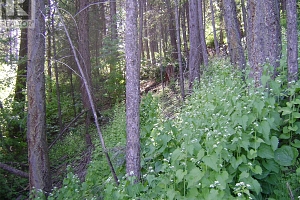 9475 Kilkenny Place Lot# 180 - Photo 15