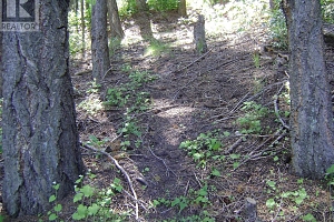 9475 Kilkenny Place Lot# 180 - Photo 9