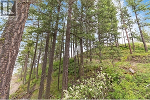 7801 Alpine Road - Photo 10