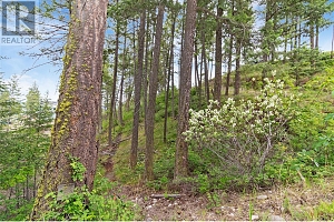 7801 Alpine Road - Photo 11