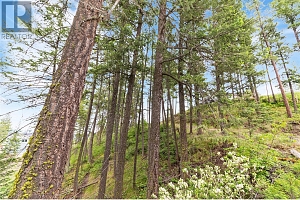 7801 Alpine Road - Photo 12