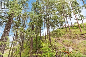 7801 Alpine Road - Photo 13