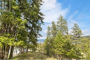 7801 Alpine Road - Photo 2