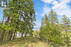 7801 Alpine Road - Photo 3