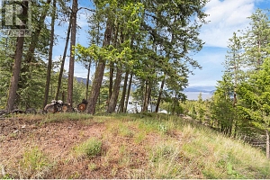 7801 Alpine Road - Photo 4