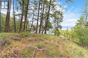 7801 Alpine Road - Photo 6