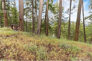 7801 Alpine Road - Photo 7