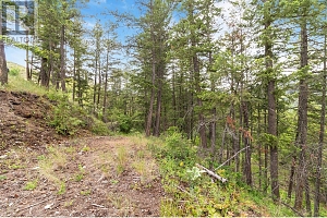 7801 Alpine Road - Photo 8