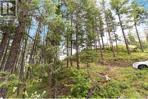 7801 Alpine Road - Photo 9