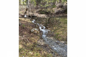 233 Albers Road - Photo 8