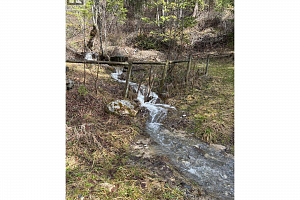 233 Albers Road - Photo 8