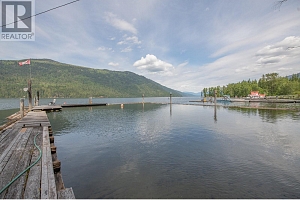 3598 Mabel Lake Road - Photo 34