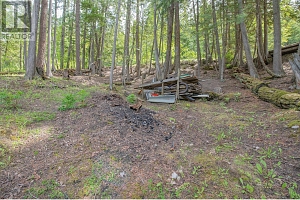 3598 Mabel Lake Road - Photo 49