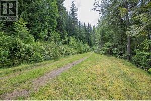 3598 Mabel Lake Road - Photo 50