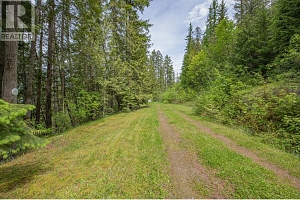 3598 Mabel Lake Road - Photo 51