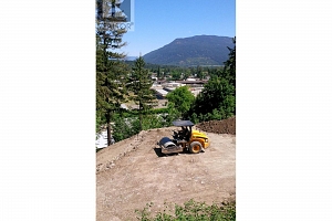 116 Birch Crescent - Photo 2