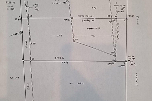 116 Birch Crescent - Photo 3