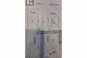 116 Birch Crescent - Photo 4