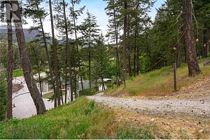 4635 Trepanier Road - Photo 40
