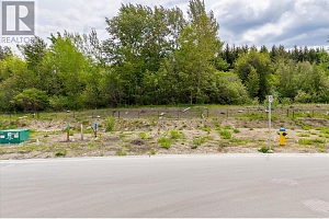 980 Bull Crescent Lot# 72 - Photo 6