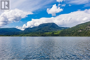 3546 MABEL LAKE Road - Photo 57